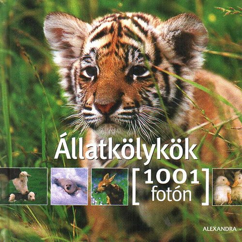 Suzanne Millarca (szerk.): Állatkölykök - 1001 fotón antikvár