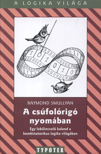 Raymond Smullyan: A csúfolórigó nyomában könyv