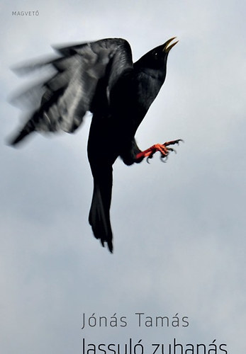 Jónás Tamás: Lassuló zuhanás könyv