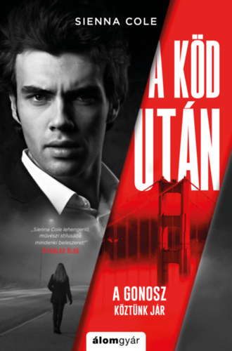 Sienna Cole: A köd után könyv