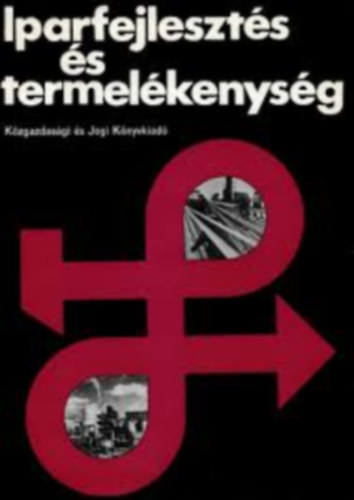 Román Zoltán: Iparfejlesztés és termelékenység antikvár