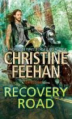 Feehan, Christine: Recovery Road idegen