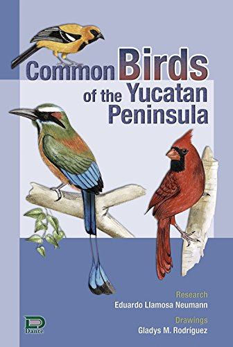 Common Birds of the Yucatan Peninsula antikvár