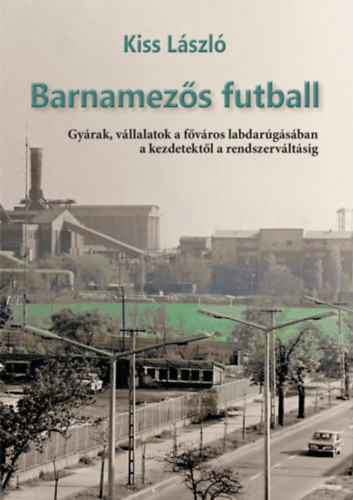 Kiss László: Barnamezős futball könyv
