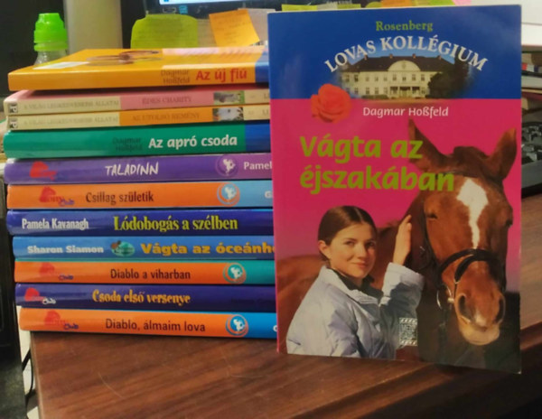 Több szerző, Pony Club, Angela Dorsey, Gabi Adam, Pamela Kavanagh, Sharon Siamon, Dagmar Hossfeld: 12 db lovas ifjúsági regény KÖNYVMENTŐ AJÁNLAT: Diablo, álmaim lova +Csoda első versenye +Diablo a viharban +Vágta az óceánhoz+ Lódobogás a szélben+ Csillag születik+ Taladinn+ Az apró csoda +Az utolsó remény+ Édes Charity+ Vágta az éjszakában+ Az új fiú antikvár