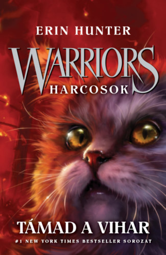 Warriors - Harcosok 4. - Támad a vihar akciós termékkép 1