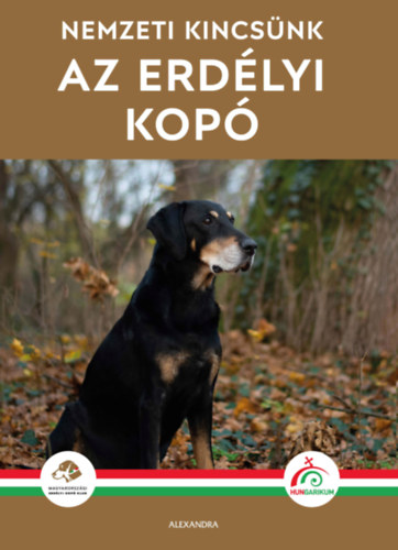 Az erdélyi kopó akciós termékkép 1