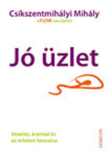 Csíkszentmihályi Mihály: Jó üzlet - Vezetés, áramlat és az értelem keresése könyv