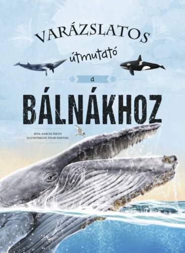Varázslatos útmutató a bálnákhoz akciós termékkép 1