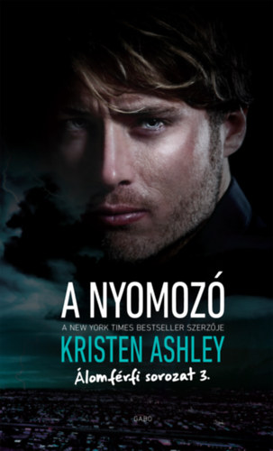 Kristen Ashley: A nyomozó e-Könyv