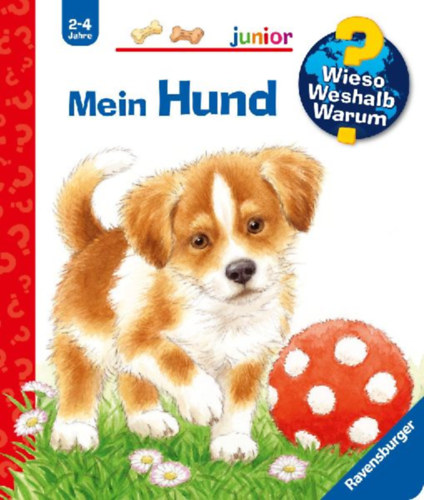 Mennen, Patricia: Wieso? Weshalb? Warum? junior, Band 41: Mein Hund idegen