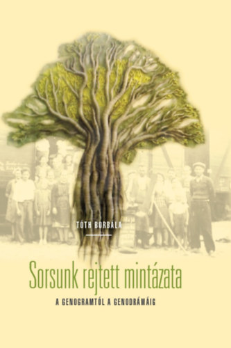 Tóth Borbála: Sorsunk rejtett mintázata könyv