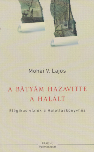 Mohai V. Lajos: A bátyám hazavitte a halált antikvár