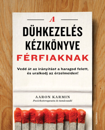 Aaron Karmin: A dühkezelés kézikönyve férfiaknak antikvár