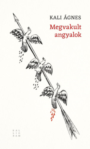 Kali Ágnes: Megvakult angyalok könyv