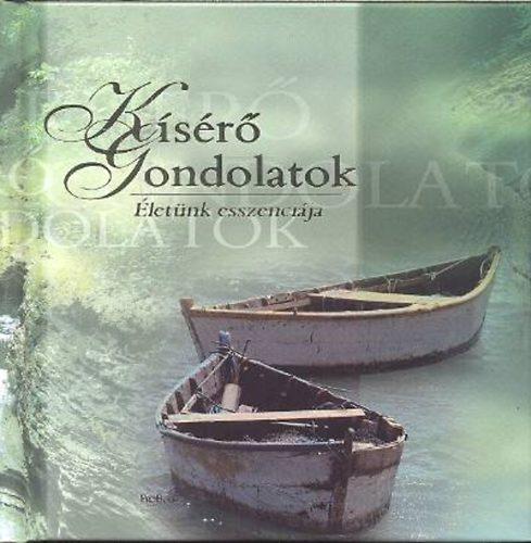 Kísérő gondolatok - Életünk esszenciája antikvár