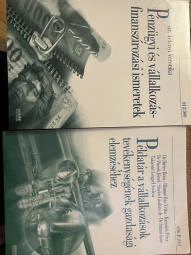 Dr. Tétényi Veronika, Blumné B.E. Dr.Birher I.: Példatár a vállalkozások gazdaságtanához + Pénzügyi és vállalkozásfinanszírozási ismeretek antikvár
