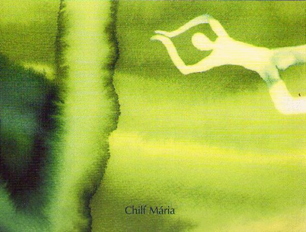 Chilf Mária: Recep(t)ció-kollage / Recipe Collage for Reception antikvár