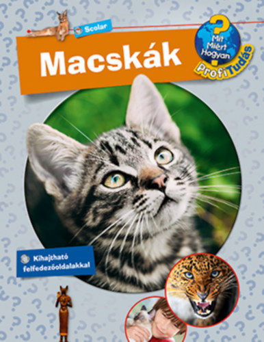 Andrea Schwendemann: Macskák könyv