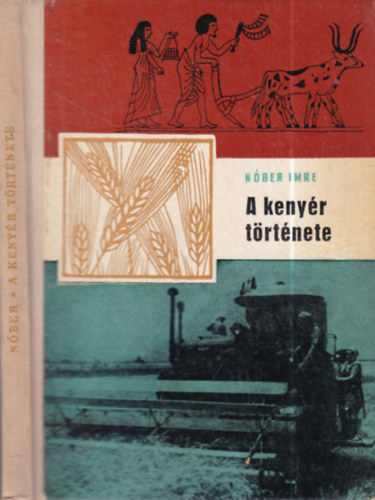 Nóber Imre: A kenyér története (búvár története)- dedikált antikvár