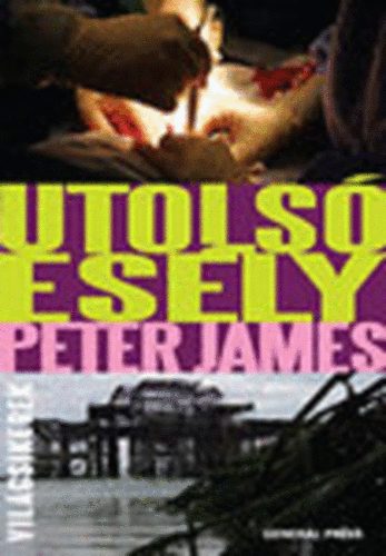 Peter James: Utolsó esély (Világsikerek) antikvár