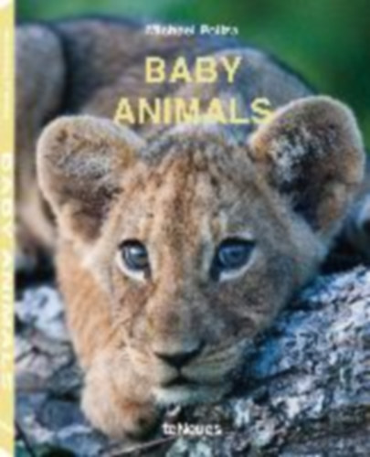 Poliza, Michael: Poliza, M: Baby Animals idegen