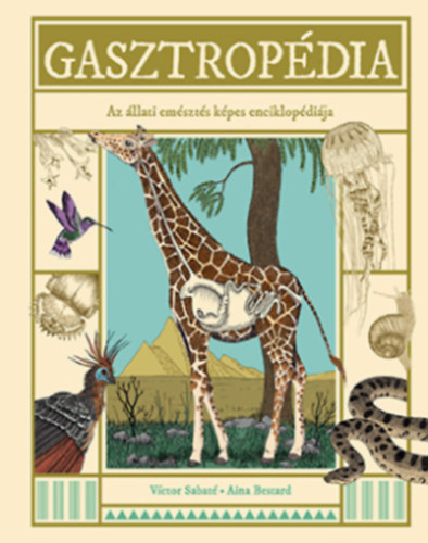 Gasztropédia akciós termékkép 1