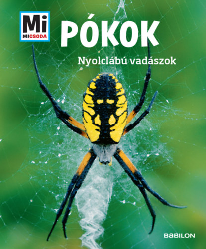 Manfred Baur: Pókok könyv