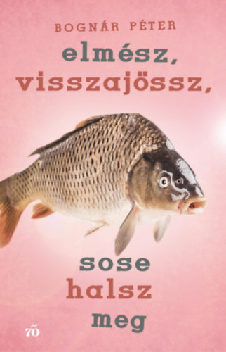 Elmész, visszajössz, sose halsz meg akciós termékkép 1