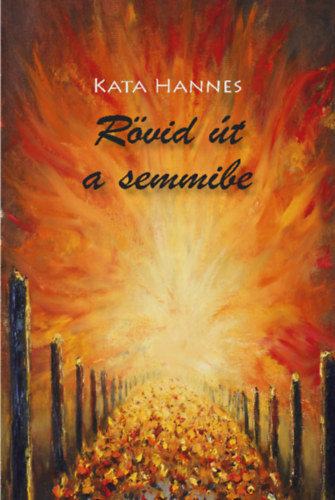 Rövid út a semmibe akciós termékkép 1