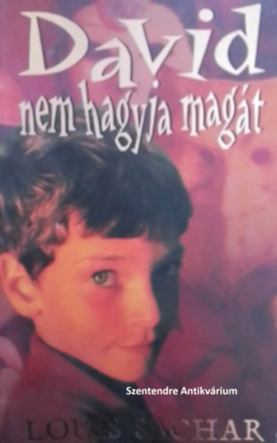 Louis Sachar: David nem hagyja magát - 2004-es kiadás antikvár