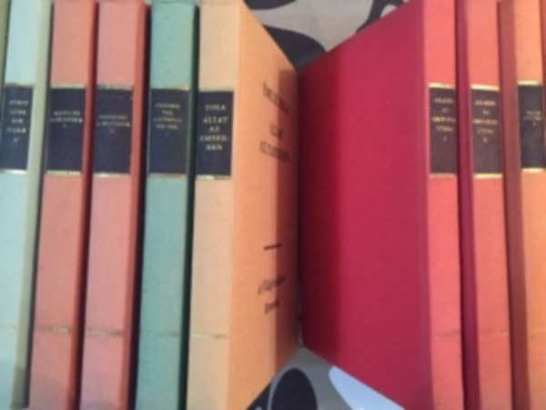 Victor Hugo; Émile Zola; Gorkij; Jack London; Balzac: 13 db Világirodalom remekei: Martin Eden, A tizenhármak története, Kilencvenhárom, Jézus tanítványai, Dodsworth, Kóborélet és más kisregények, Akinek meg kell halnia, Tisztes úriház, A patkányfogó, Vörös és fehér I-II, A bázeli harangok, Inasévek könyv