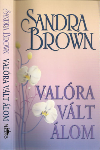 Sandra Brown: Valóra vált álom antikvár
