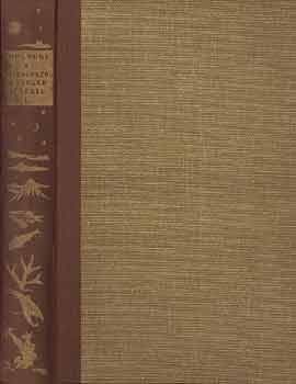 Cholnoky Jenő: A csillagoktól a tengerfenékig I-IV. antikvár