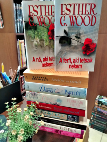 Esther G. Wood, Barbara Delinsky, Holt Victoria, Cecily von Ziegesar, Mail Karolin: KÖNYVMENTŐ AJÁNLAT, 10DB. Romantikus irodalom. A nő, aki tetszett nekem+ A férfi, aki tetszik nekem+ Azelőtt és ismét+ Parti út+ Februári vihar+ Tiszta Hollywood+ Ikrek tánca+ A medál titka+ Hotgirl 1+ Hotgirl 2 antikvár