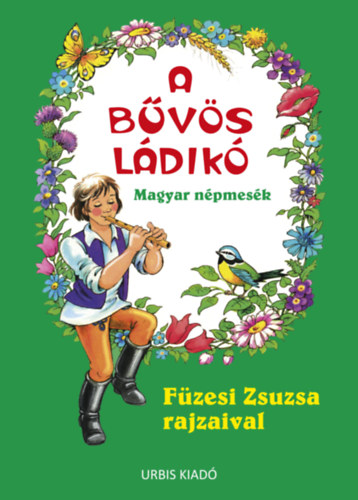 Füzesi Zsuzsa: A bűvös ládikó könyv