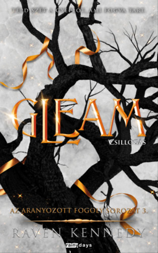 Raven Kennedy: Gleam - Csillogás e-Könyv