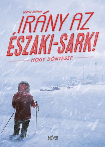 Irány az Északi-sark! akciós termékkép 1