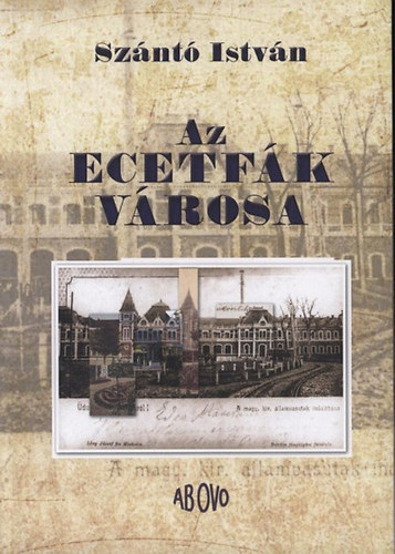 Szántó István: Az ecetfák városa könyv
