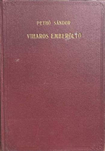 Pethő Sándor: Viharos emberöltő antikvár