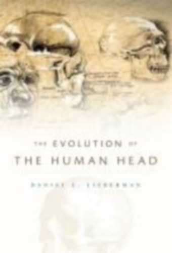 Lieberman, Daniel E.: Evolution of the Human Head idegen