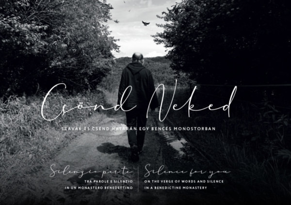 Baán Izsák: Csönd neked könyv