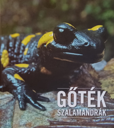 Kovács Tibor: Gőték és szalamandrák antikvár