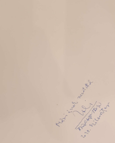 Bachman Zoltán: Rajzok - Zeichen - Drawings antikvár