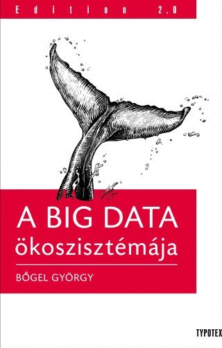 Bőgel György: A BIG DATA ökoszisztémája e-Könyv