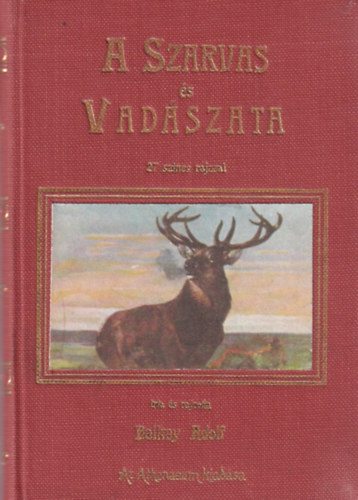 Balkay Adolf: A szarvas és vadászata antikvár