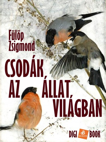 Csodák az állatvilágban akciós termékkép 1
