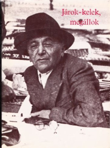 Szép Ernő: Járok-kelek, megállok (Szép Ernő válogatott művei) antikvár