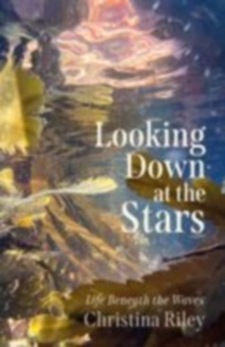 Riley, Christina: Looking Down at the Stars idegen
