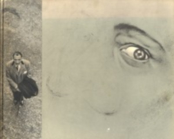 Salvador Dalí: Dalí: studio della vita e delle opere könyv
